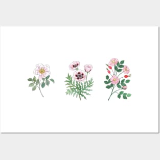 Three Pink Flowers Watercolor Illustration Posters and Art